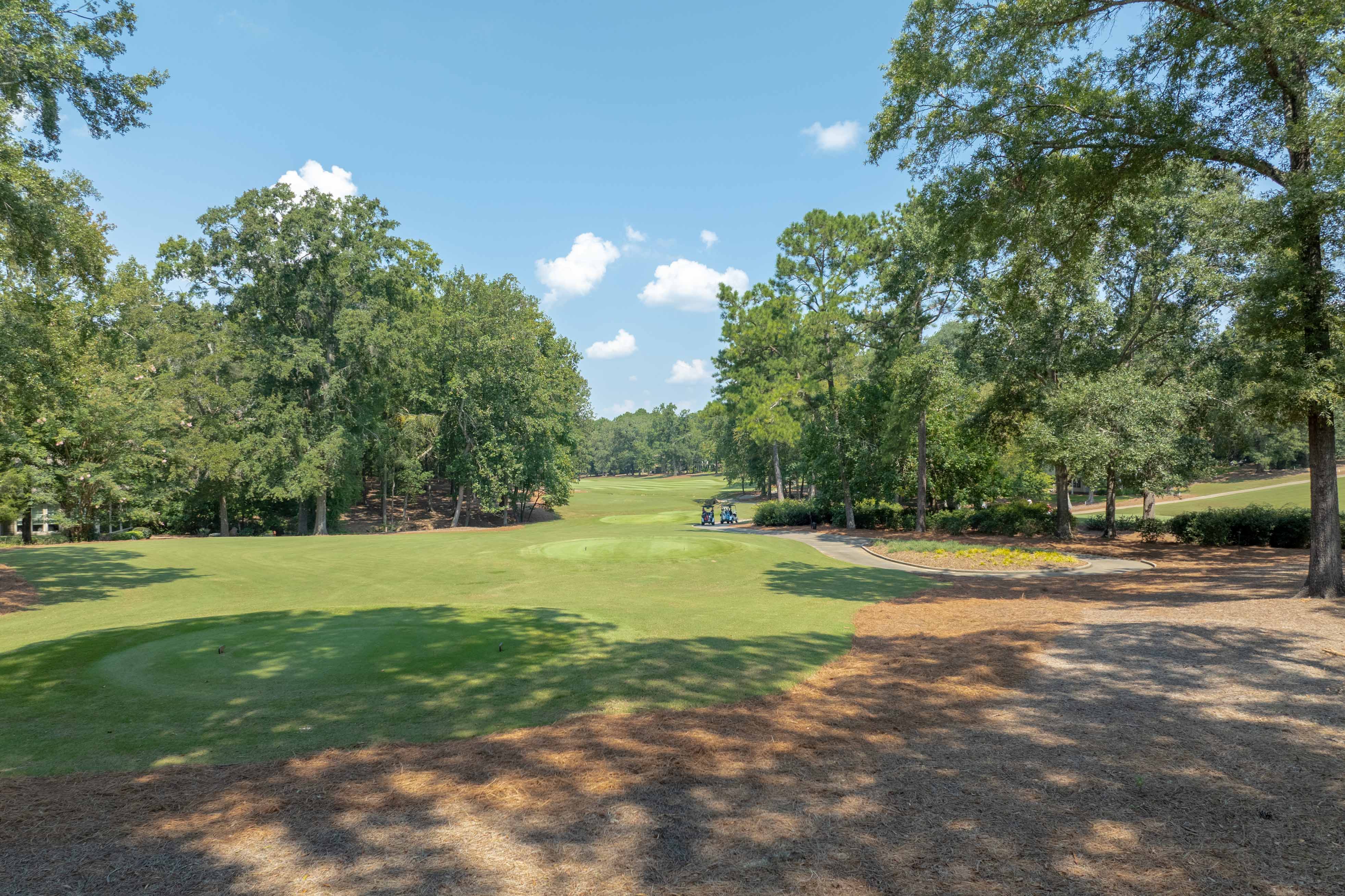 161 Broadlands Drive image 12